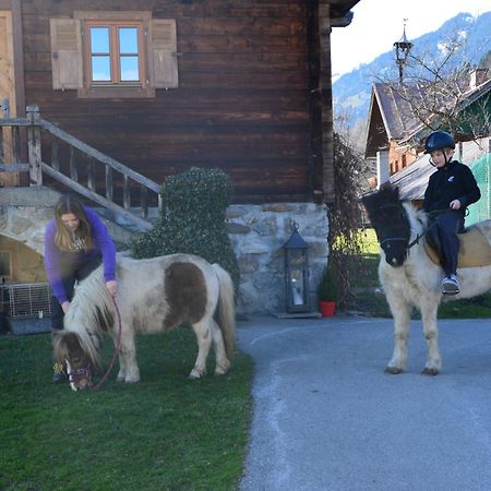 Ferienhaus Bognerhof Sankt Veit im Pongau Luaran gambar